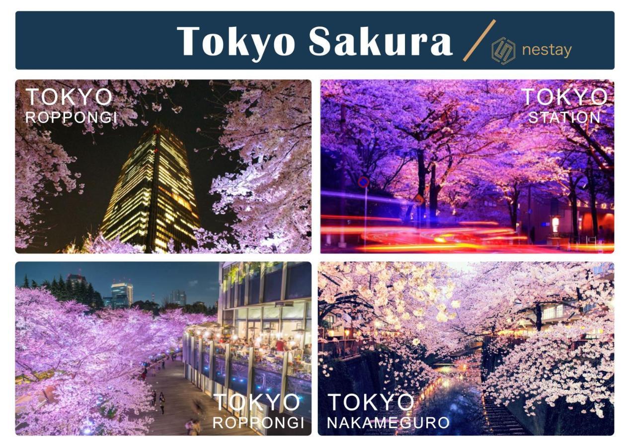 Nestay Inn Tokyo Otsuka 103 Екстер'єр фото